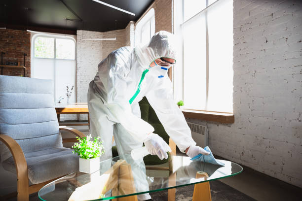 Best Mold Remediation for Healthcare Facilities in Forestbrook, SC